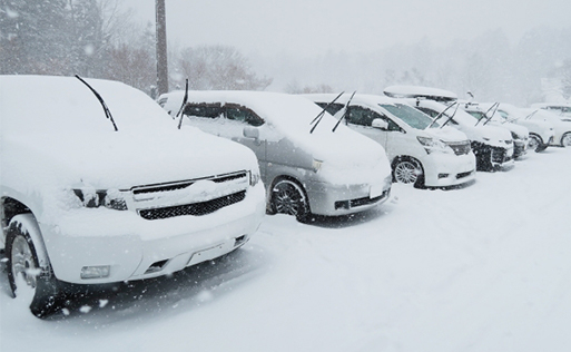 雪に埋もれた画像